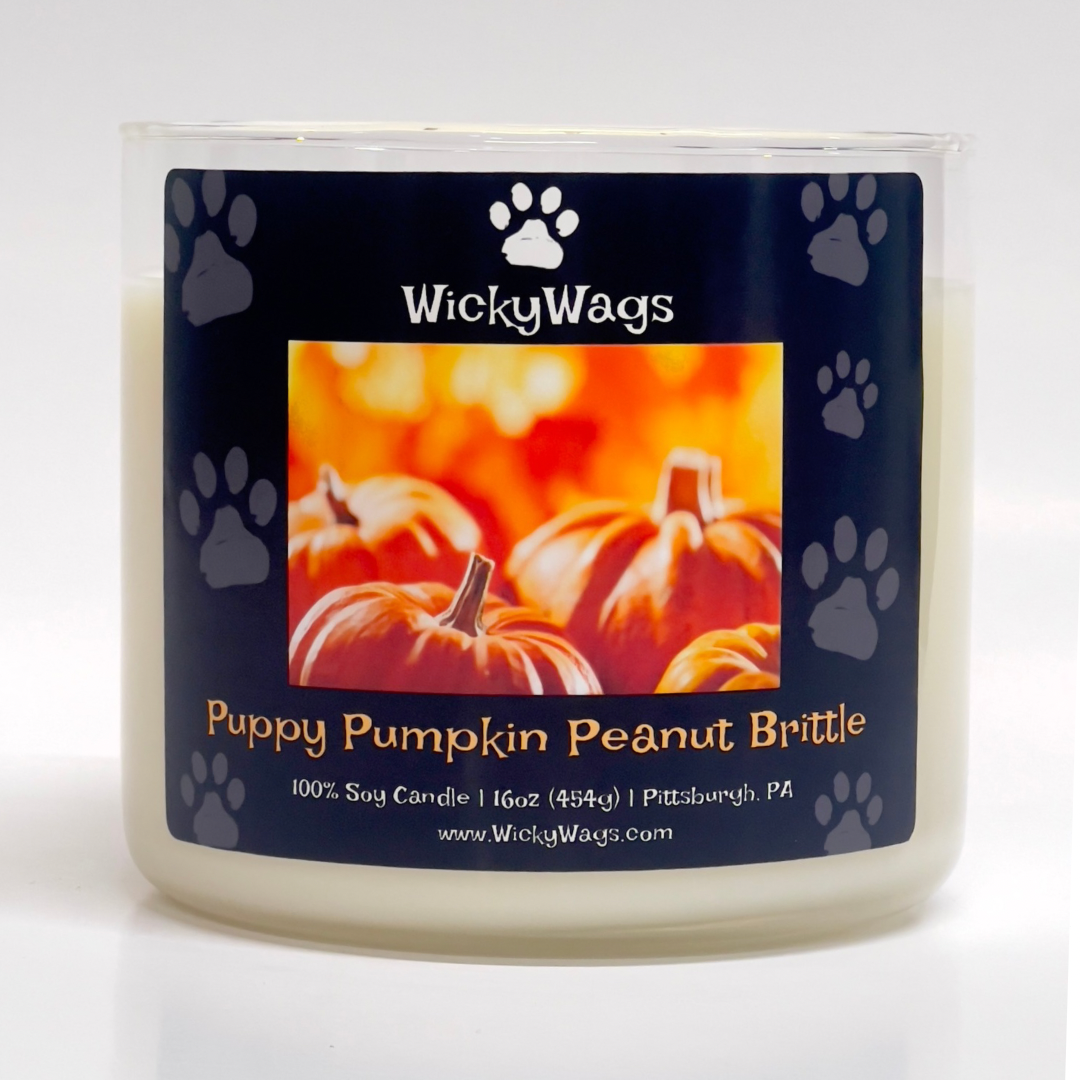 Puppy Pumpkin Peanut Brittle | Pumpkin Brittle Scented Candle