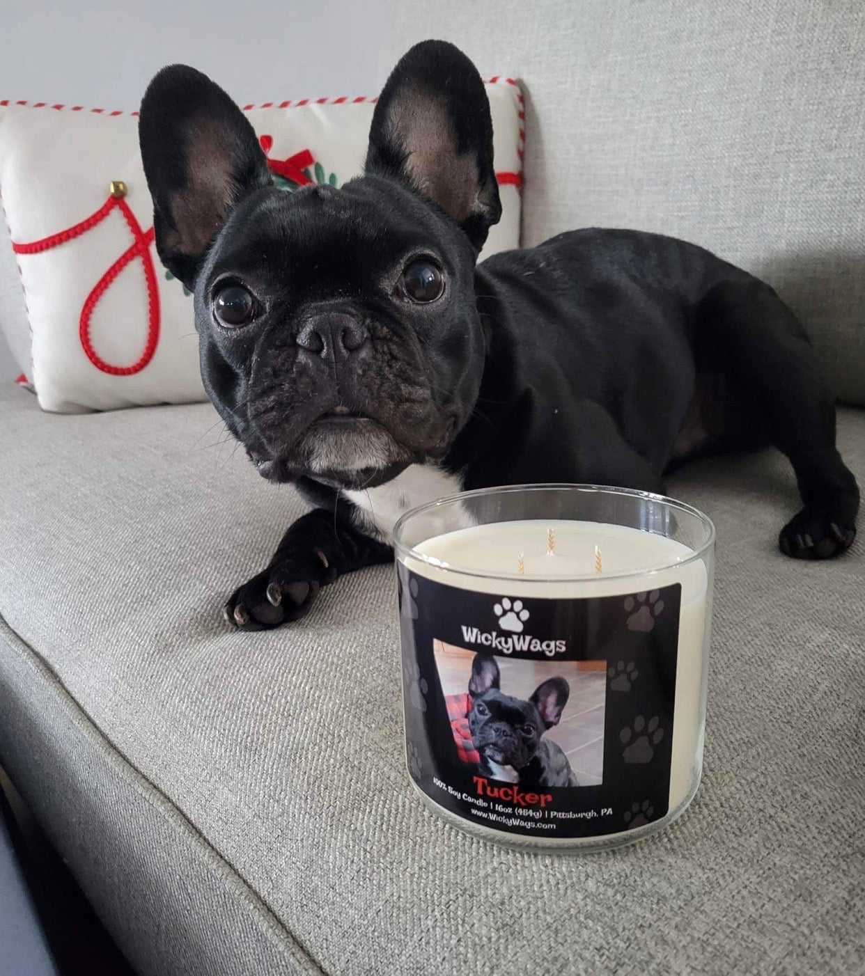 Tucker next to his customer 3-wick candle created by WickyWags Candles.