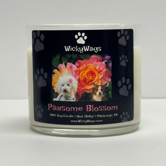 Pawsome Blossom | Baja Cactus Scented Soy Candle