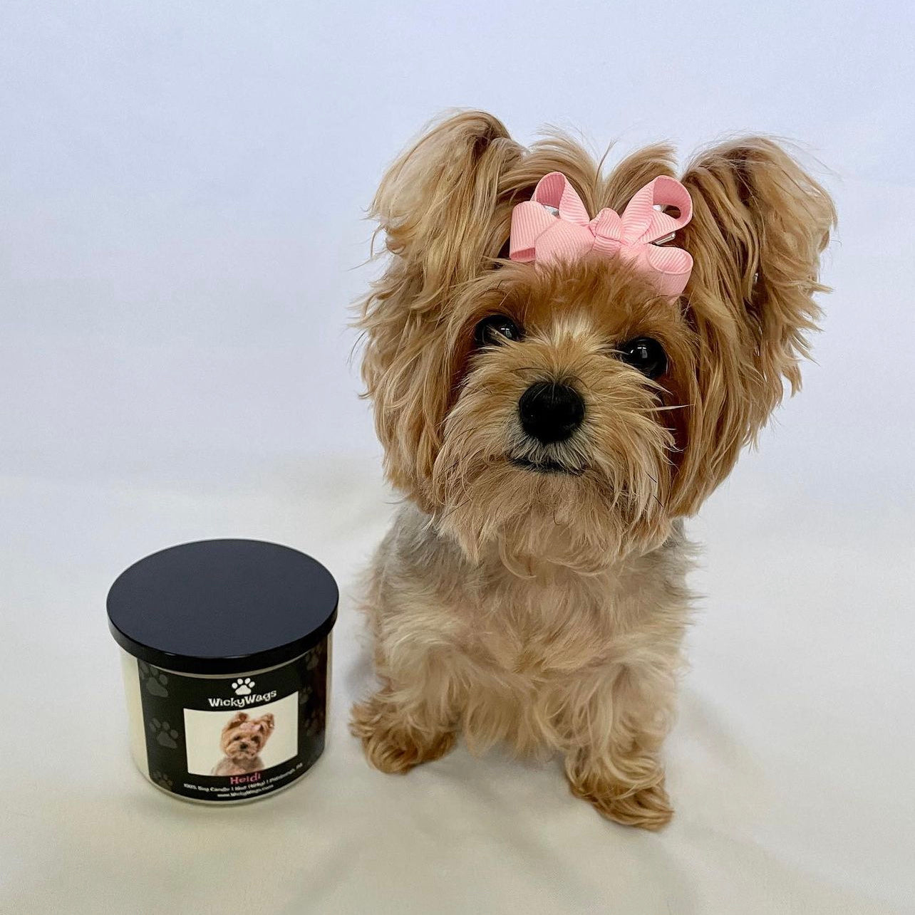 Heidi the dog next to her very own custom candle.