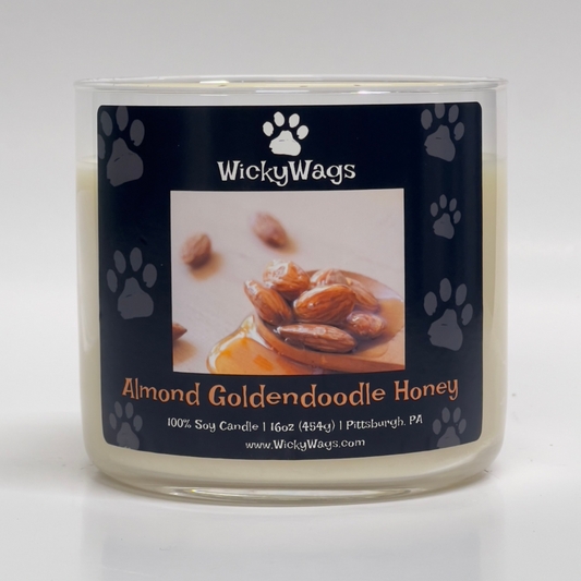 Almond Goldendoodle Honey